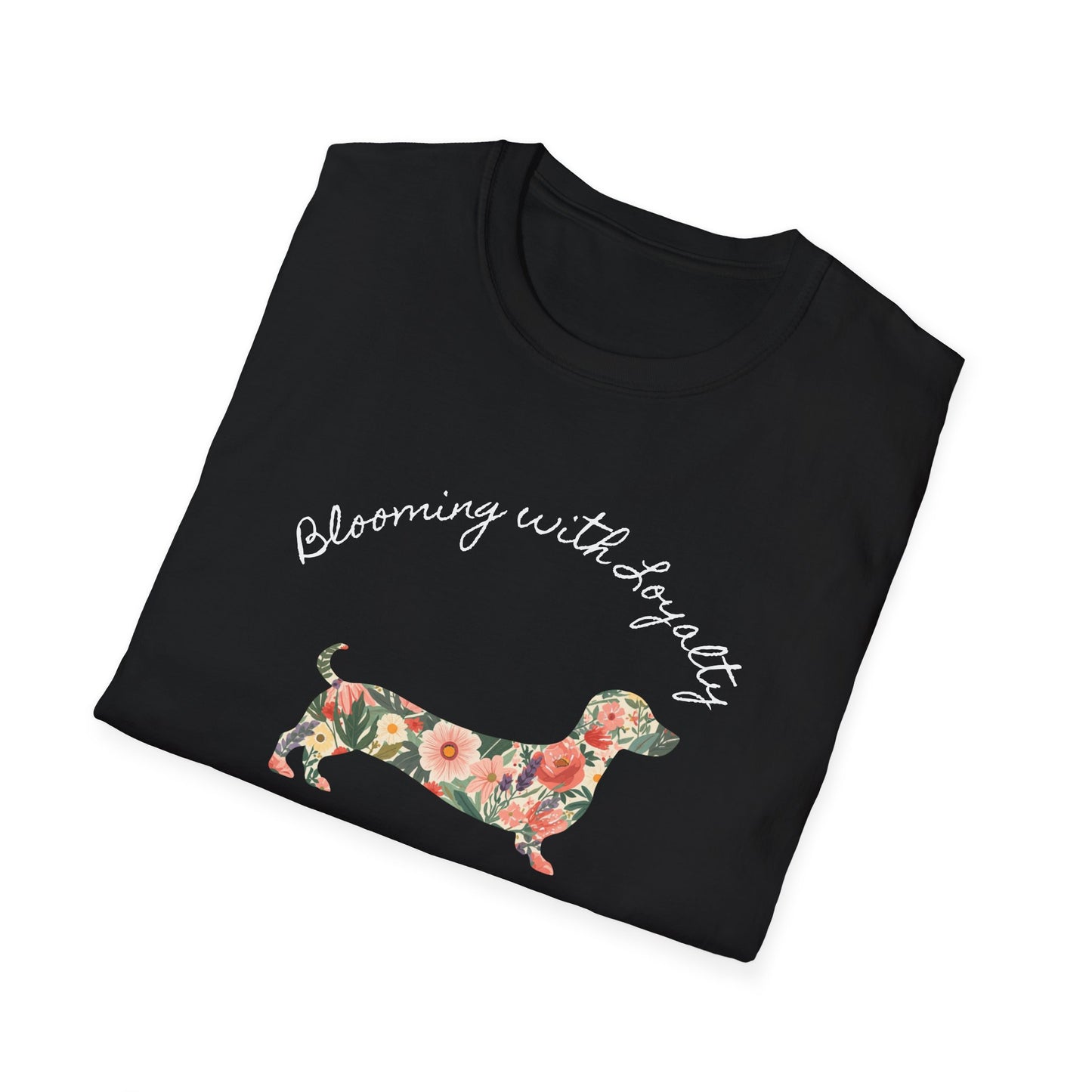Dachshund loyalty